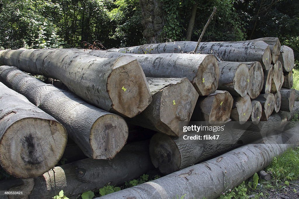 Wood preparation