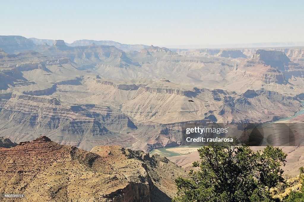 River at Grand Canyon National Park