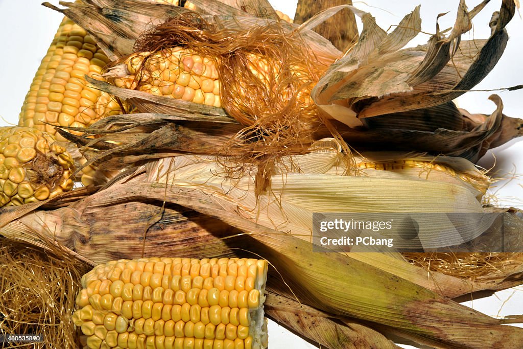 Cooking delicious corn