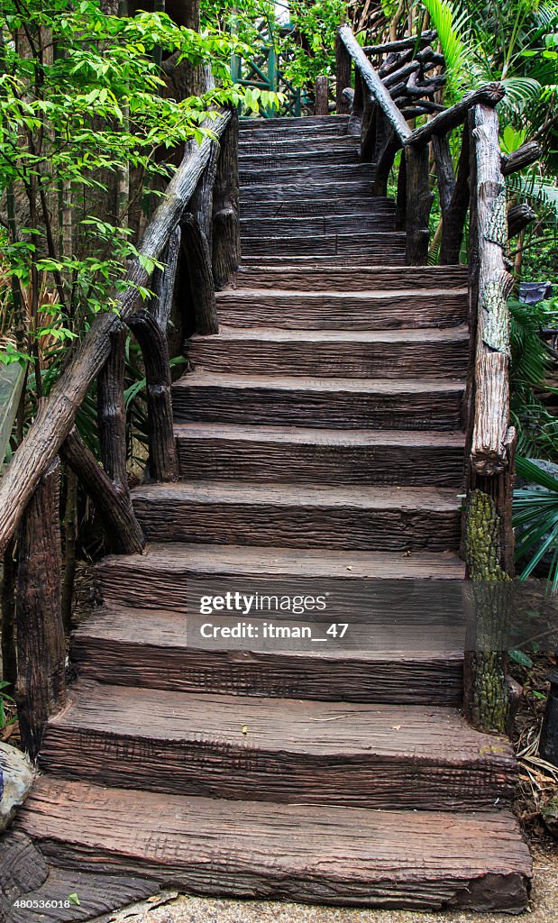 Cement stair in garden.