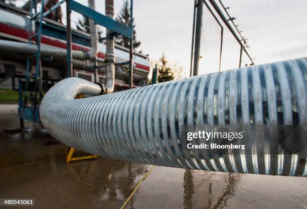 Chinook salmon are pumped into a tanker truck for transport in Anderson, California, U.S., on Tuesday, March 25, 2014. California will begin hauling...