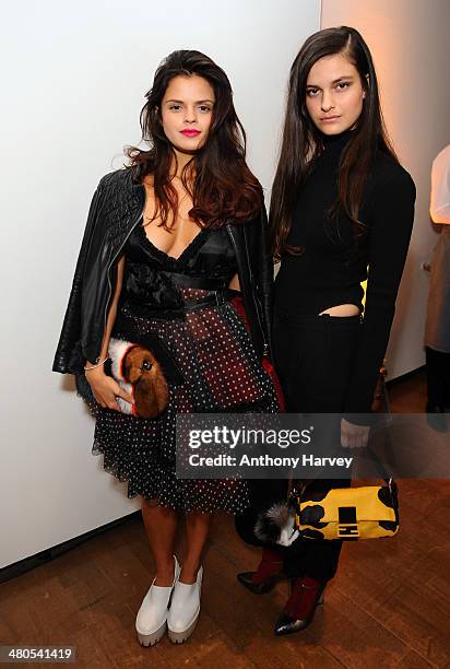 Bip Ling and Evangeline Ling attend the Annual Schools auction dinner at Burlington House on March 25, 2014 in London, England.