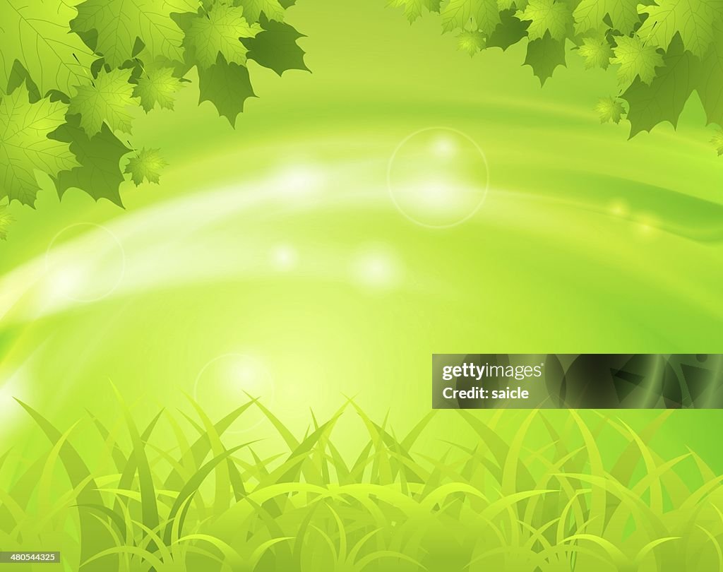 Green spring background