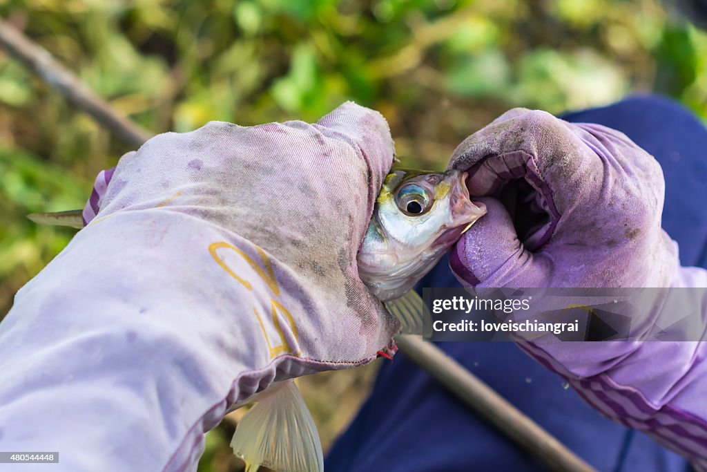 Angeln auf See. Frischer Fisch