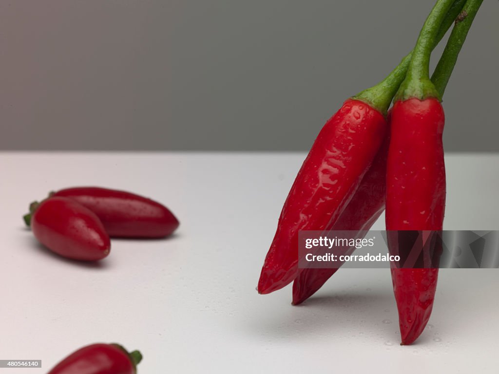 Pimientos chile rojo Aislado en blanco