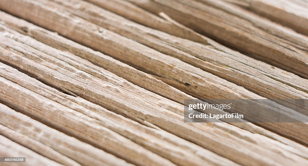 Macro very old wood texture