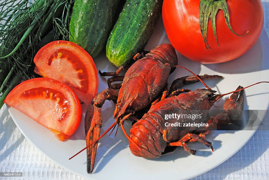 Bouillie d'écrevisses, tomates, concombre et à l'aneth et aux oignons verts sur une assiette