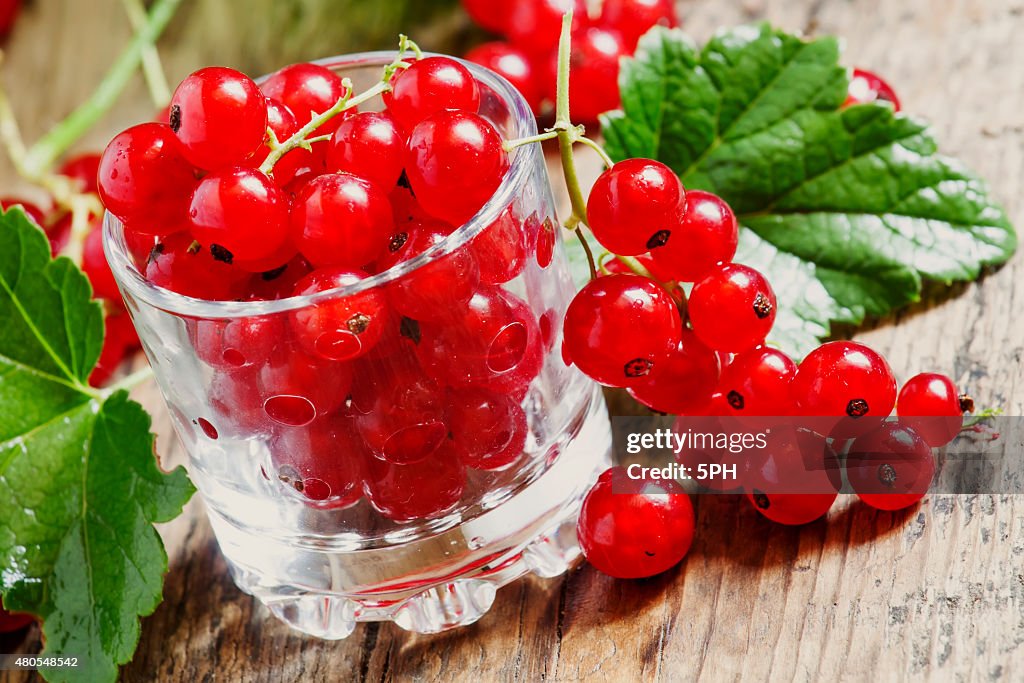 Fresh red currants with leaves in glass