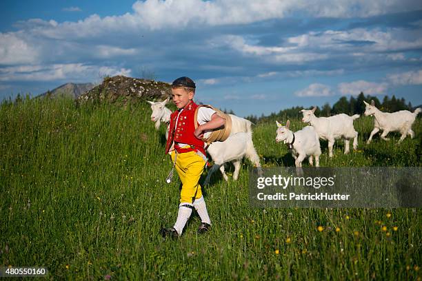 alpaufzug - appenzell stock-fotos und bilder