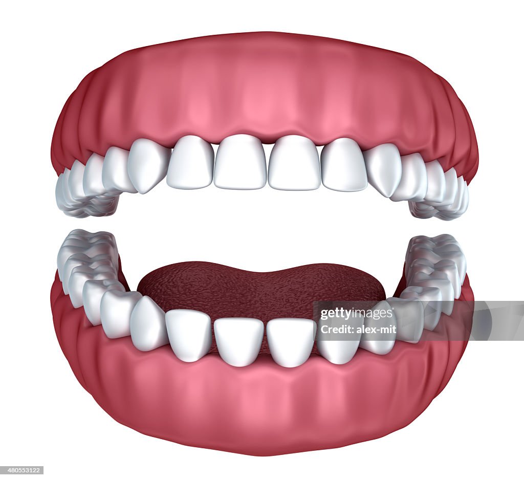 3d open denture isolated on white