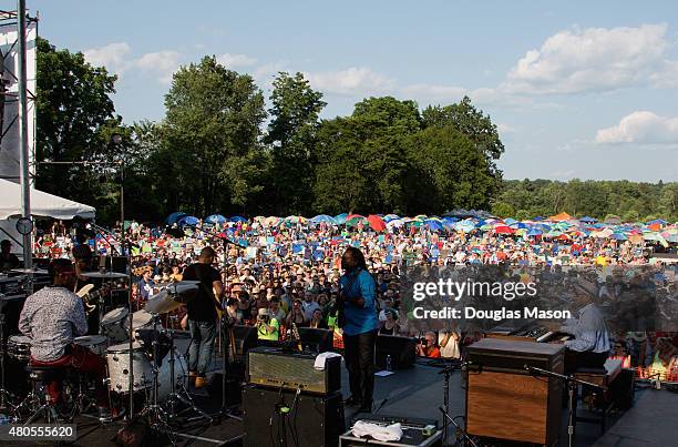 Booker T Jones, formerly of Booker T and the MG's performs during the Green River Festival 2015 at Greenfield Community College on July 11, 2015 in...