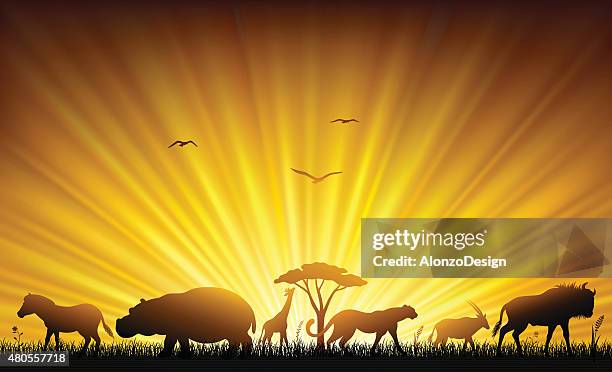 african life - big tree stock illustrations