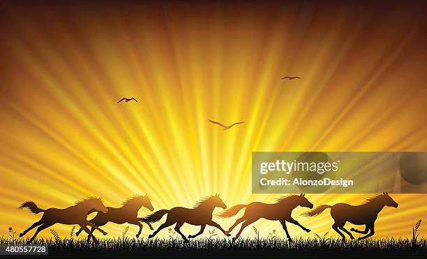 illustrazioni stock, clip art, cartoni animati e icone di tendenza di corsa cavalli selvaggi - fuggire