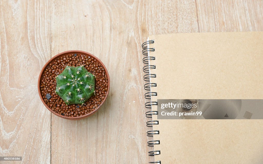 Cactus background and decorated on table