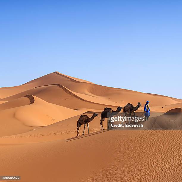 young tuareg with camel on western sahara desert in africa - amazigh 個照片及圖片檔
