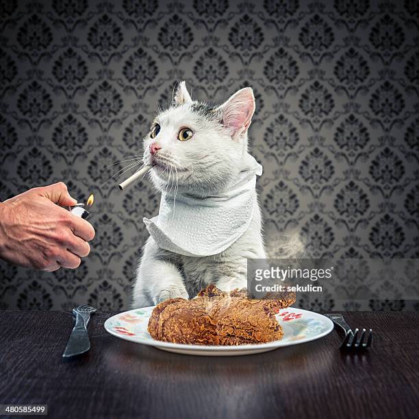 13,207 Funny Animals Food Photos and Premium High Res Pictures - Getty  Images