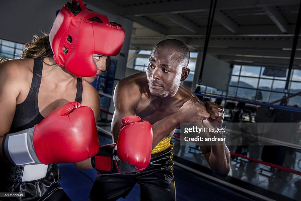 Boxer with the trainer