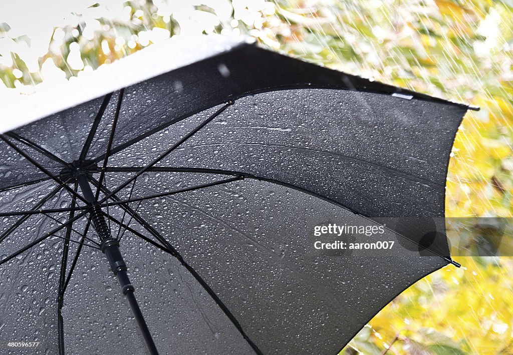 Detail of umbrella