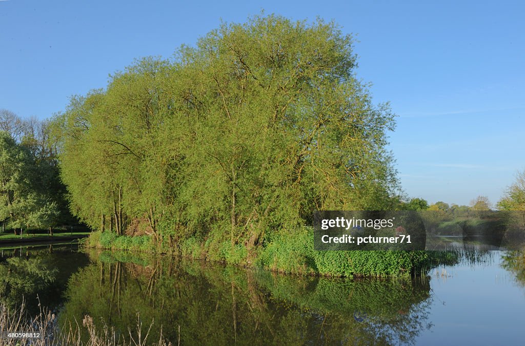 Reflection on The River Avon, Stratford upon Avon, Warwickshire, England