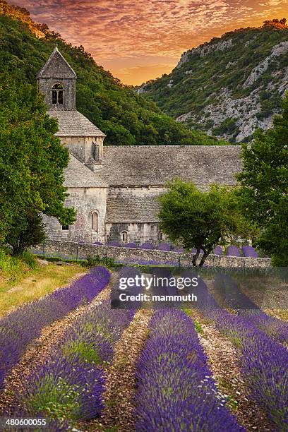 abbey with blooming lavender field at dusk - occitanie stock pictures, royalty-free photos & images