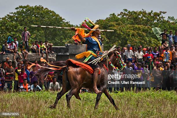 Pasola rider prepares to throw his spear during the pasola war festival at Wainyapu village on March 25, 2014 in Sumba Island, Indonesia. The Pasola...