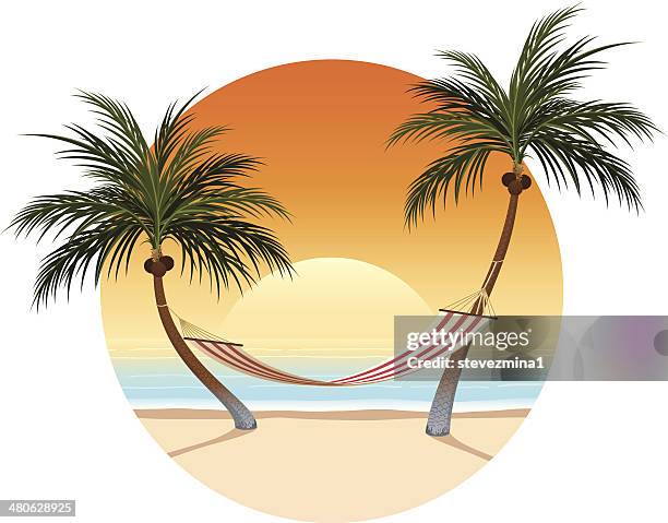 sunset and palm tree hammock - hammock stock illustrations