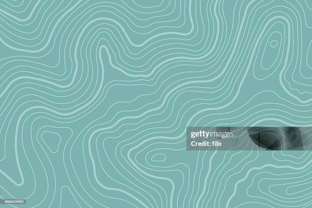 Topographic Map Background