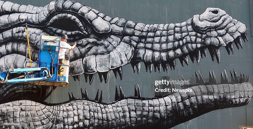 Belgian Street Artist ROA Paints Mural In Townsville