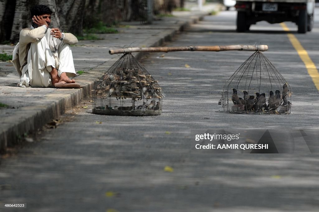 PAKISTAN-SOCIETY-BIRDS-FREE