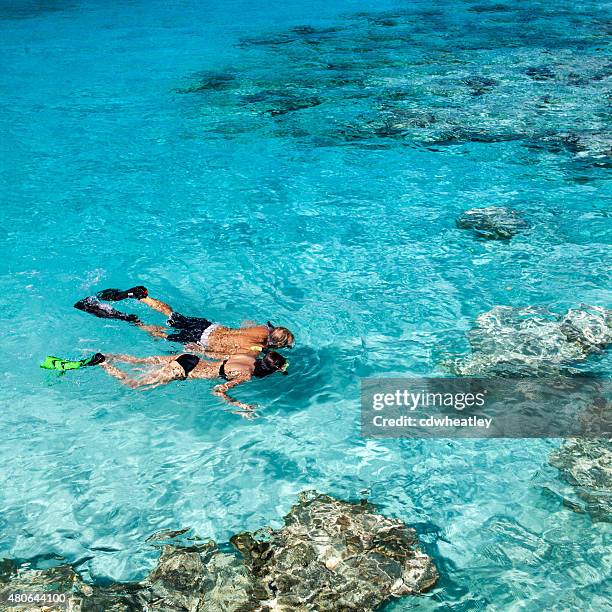 honeymoon couple holding hands while snorkeling in the caribbean - snorkelling stock pictures, royalty-free photos & images