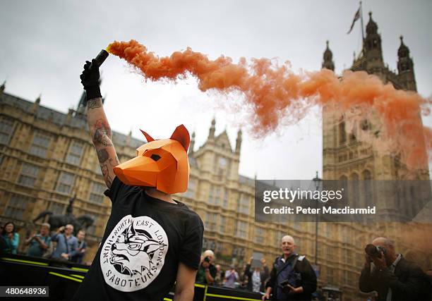 An anti-fox hunting protester holds a smoke flare as he demonstrates outside Parliament on July 14, 2015 in London, England. The government's...