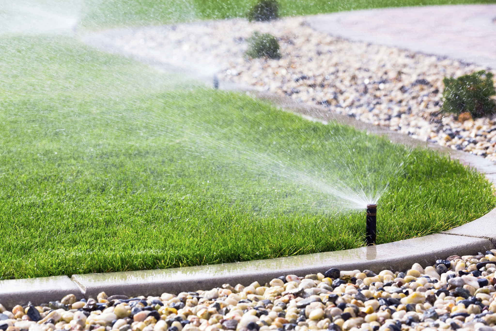 lawn watering