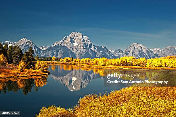 fall colors at oxbow bend, grand teton np, wyoming - jackson wyoming foto e immagini stock