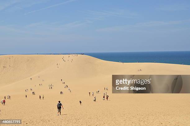 tottori sand hill - tottori prefecture stock pictures, royalty-free photos & images