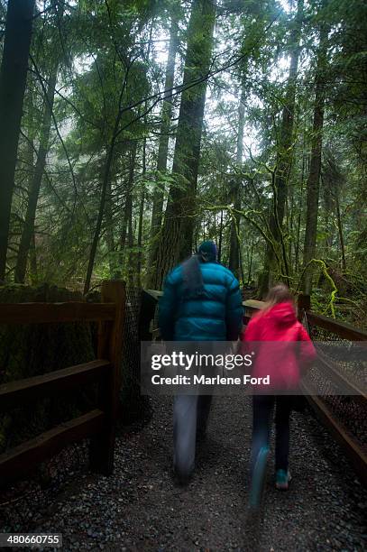 people walking in dark forest - 12 12 12 2013 film stock-fotos und bilder