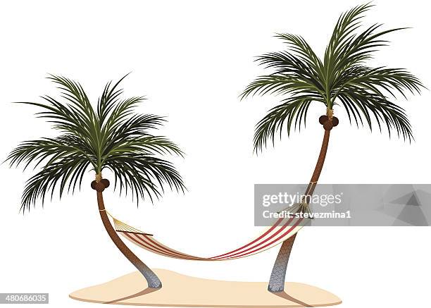 hammock and palm trees - relaxing hammock stock illustrations
