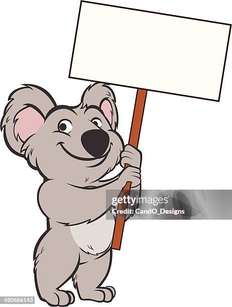 koala bear - holding sign - bear standing stock illustrations
