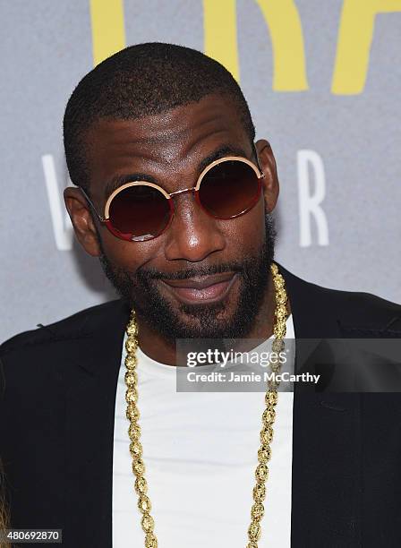 Player Amar'e Stoudemire attends the "Trainwreck" New York Premiere at Alice Tully Hall on July 14, 2015 in New York City.