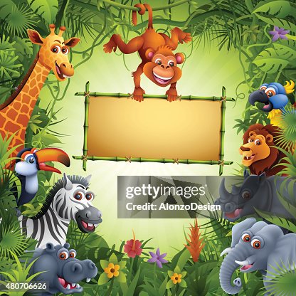Zoo Animals Zoo Animals