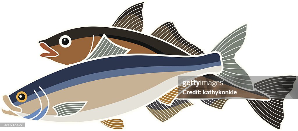 Fish