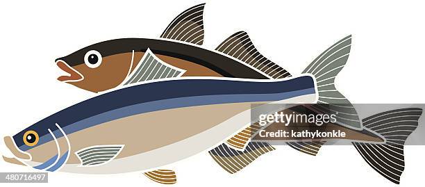 fish - healthy protien stock illustrations