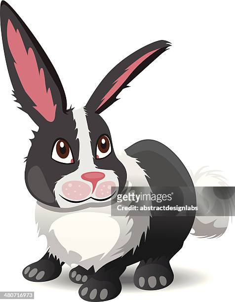 stockillustraties, clipart, cartoons en iconen met rabbit - konijn