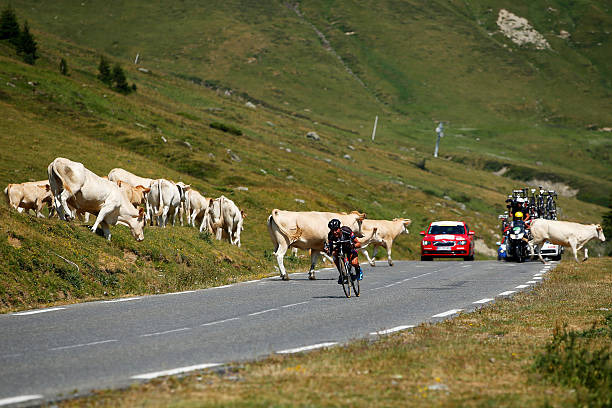 FRA: Le Tour de France 2015 - Stage Eleven