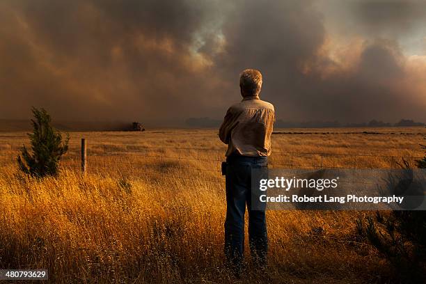 man watches bushfire as property and lives at risk - australia wildfire fotografías e imágenes de stock