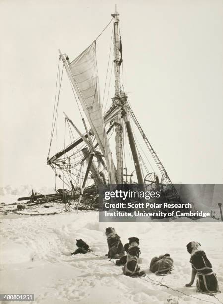 The 'Endurance' crushed by the ice and sinking during the Imperial Trans-Antarctic Expedition, 1914-17, led by Ernest Shackleton.