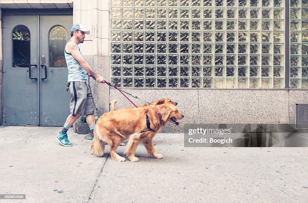 NYC Man Walking Dog in City Outdoors Summer