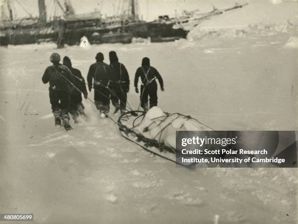 Sledging in fresh ice to the 'Endurance' for the ship's water during the Imperial Trans-Antarctic Expedition, 1914-17, led by Ernest Shackleton.