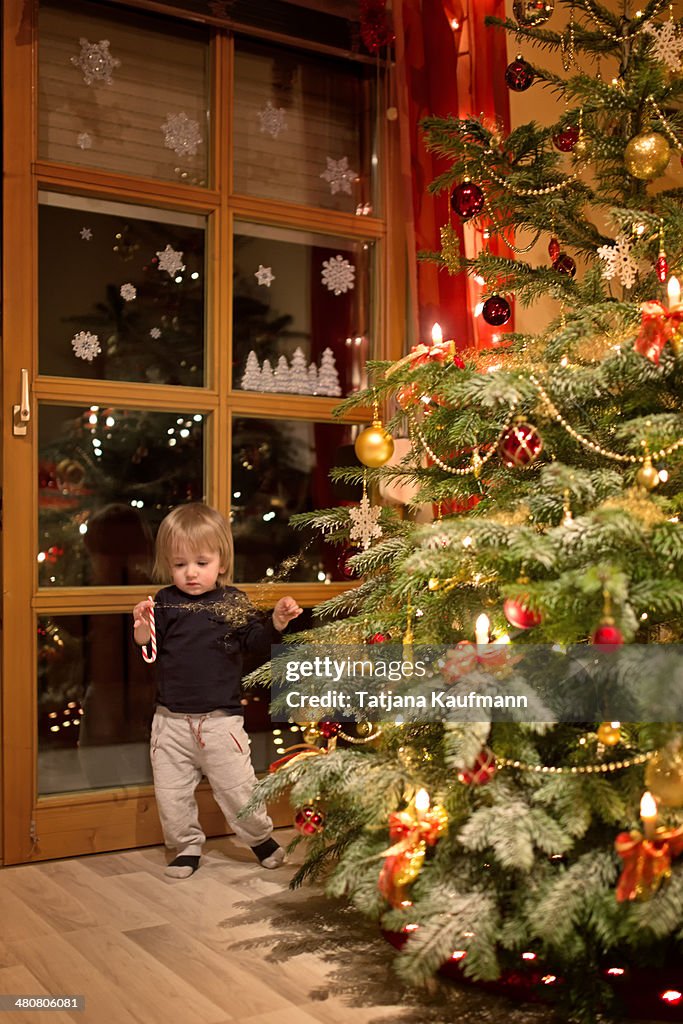Toddler stealing Candy Cane from Christmas Tree