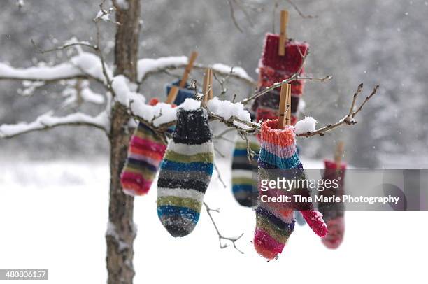 winter's mitten tree - mitten stock pictures, royalty-free photos & images