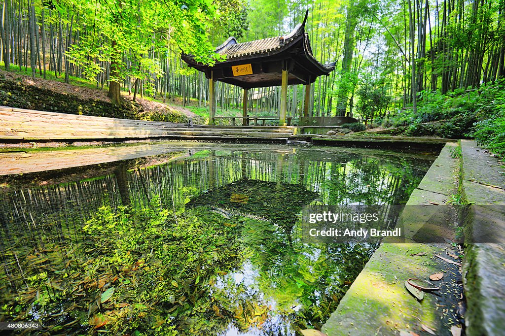 Find the Gecko - Yunqi Pagoda in Freshness IV